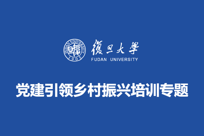 党建引领乡村振兴培训专题